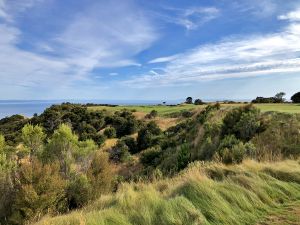 Cape Kidnappers 5th
